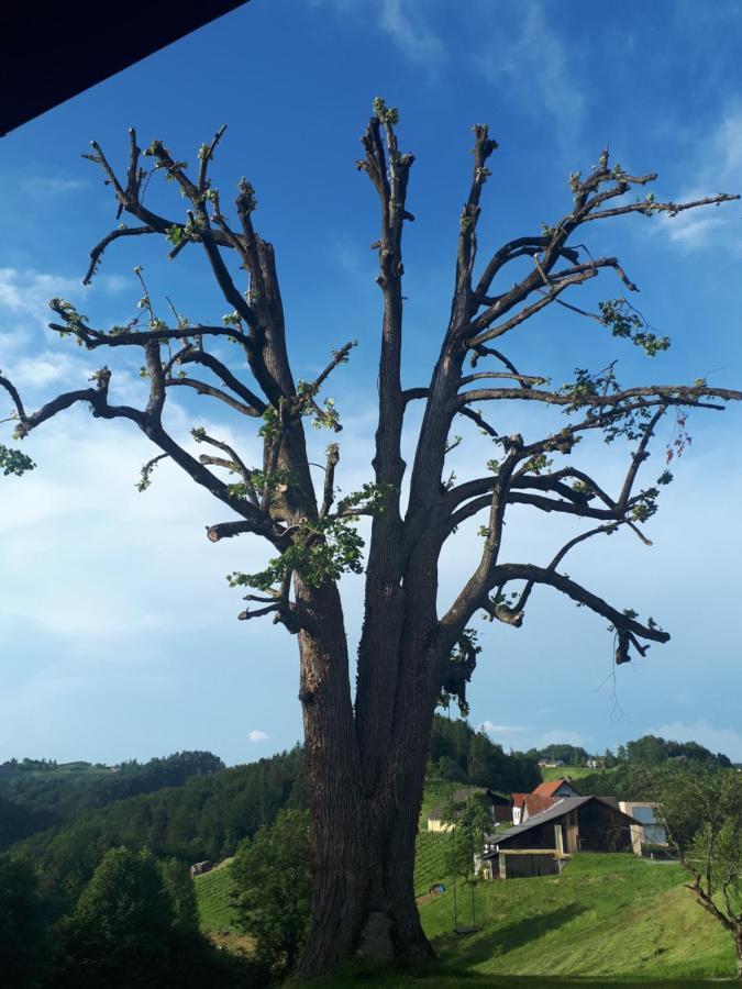 Vila Maxl Maltschach Exteriér fotografie